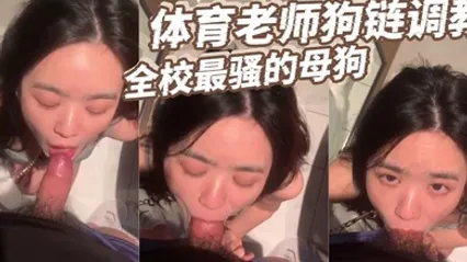 體育老師狗鏈調教全校最騷的母狗 全集 封面