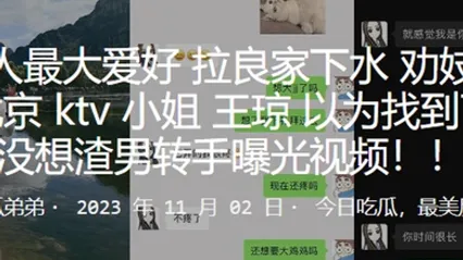 勸妓女從良北京KTV小姐王瓊以為找到了真愛沒想渣男轉手曝光影片 全集 封面